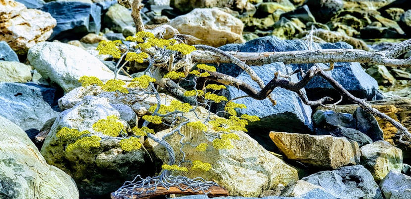  - POMISORI Feng shui - de vanzare