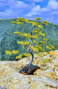  - POMISORI Feng shui - de vanzare