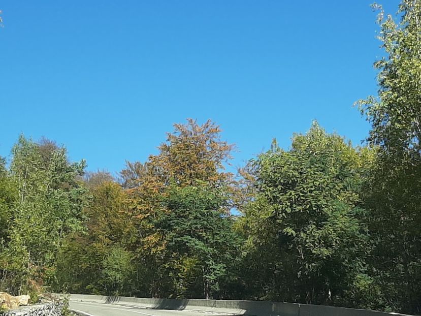  - Rânca octombrie 2020