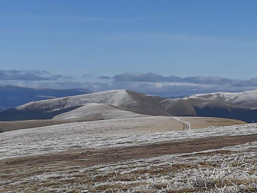  - Rânca octombrie 2020