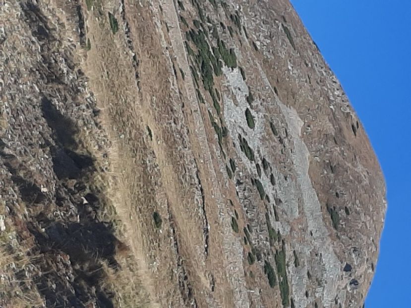  - Rânca octombrie 2020