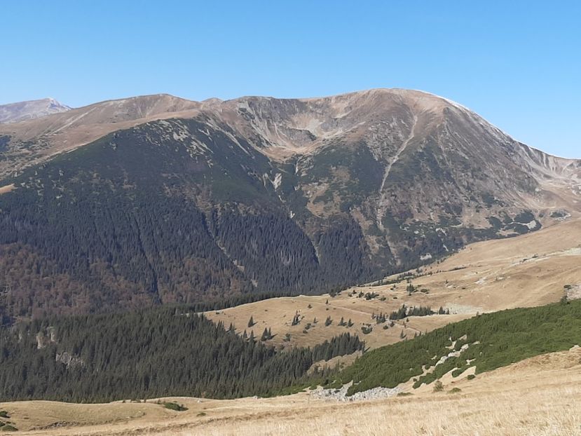  - Rânca octombrie 2020