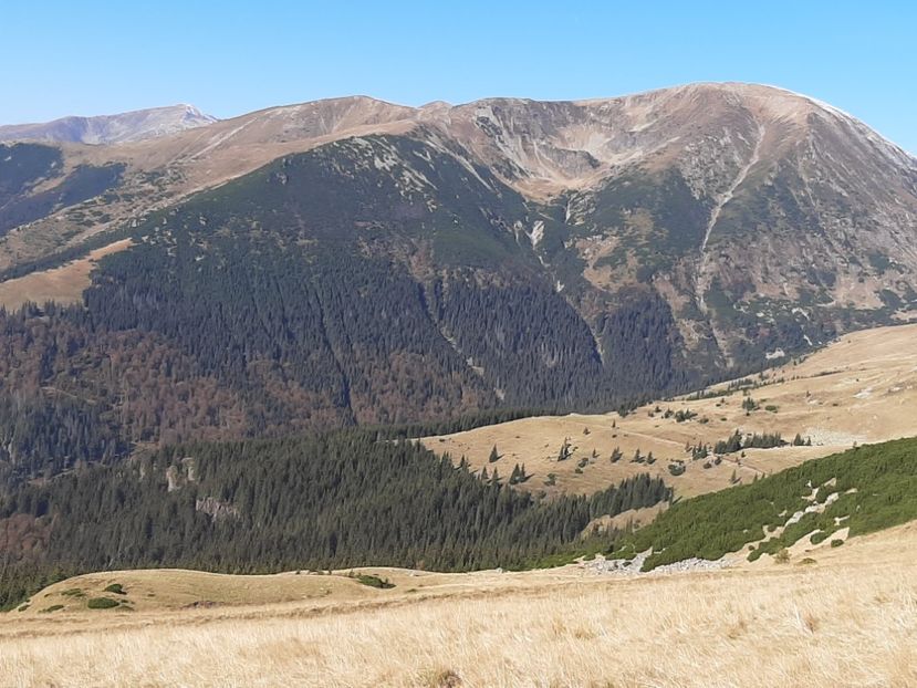  - Rânca octombrie 2020