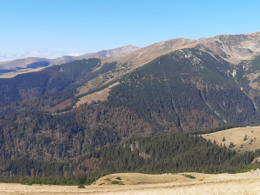  - Rânca octombrie 2020