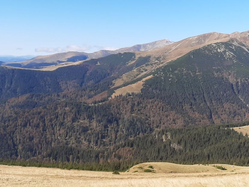  - Rânca octombrie 2020