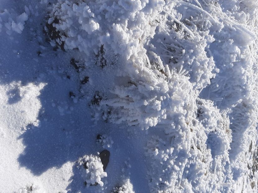  - Rânca octombrie 2020