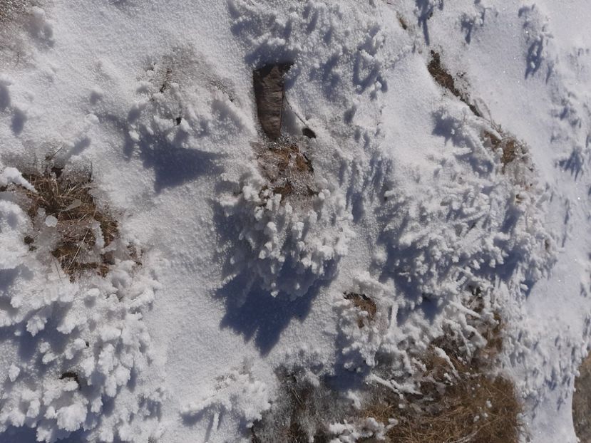  - Rânca octombrie 2020