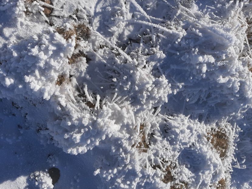  - Rânca octombrie 2020