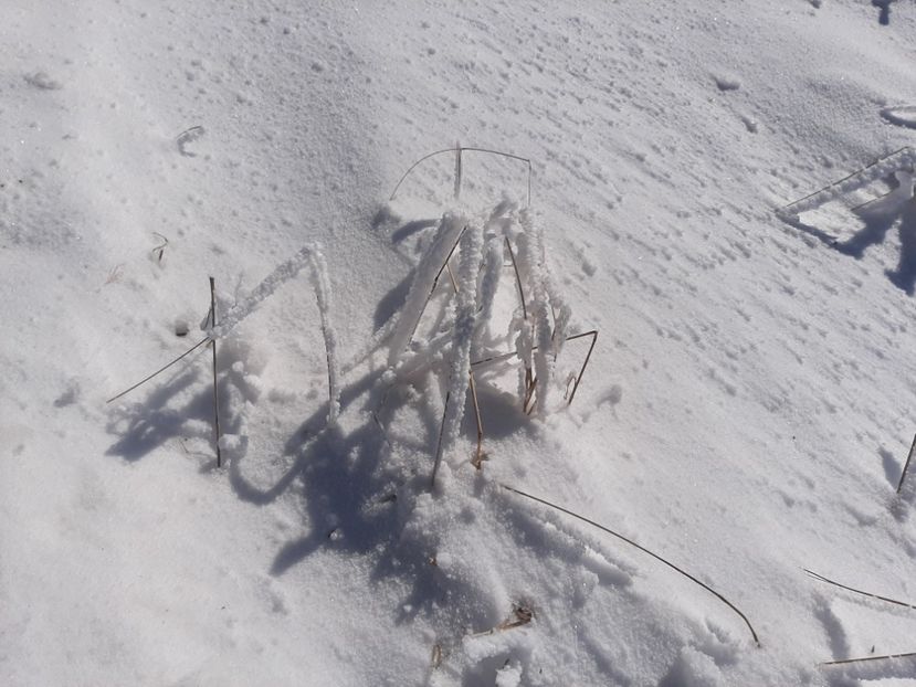  - Rânca octombrie 2020