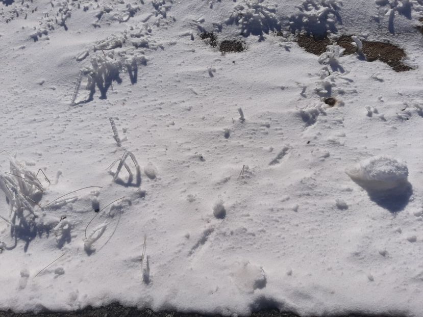  - Rânca octombrie 2020