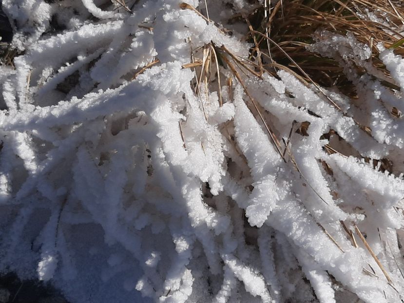  - Rânca octombrie 2020