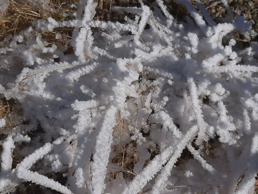  - Rânca octombrie 2020