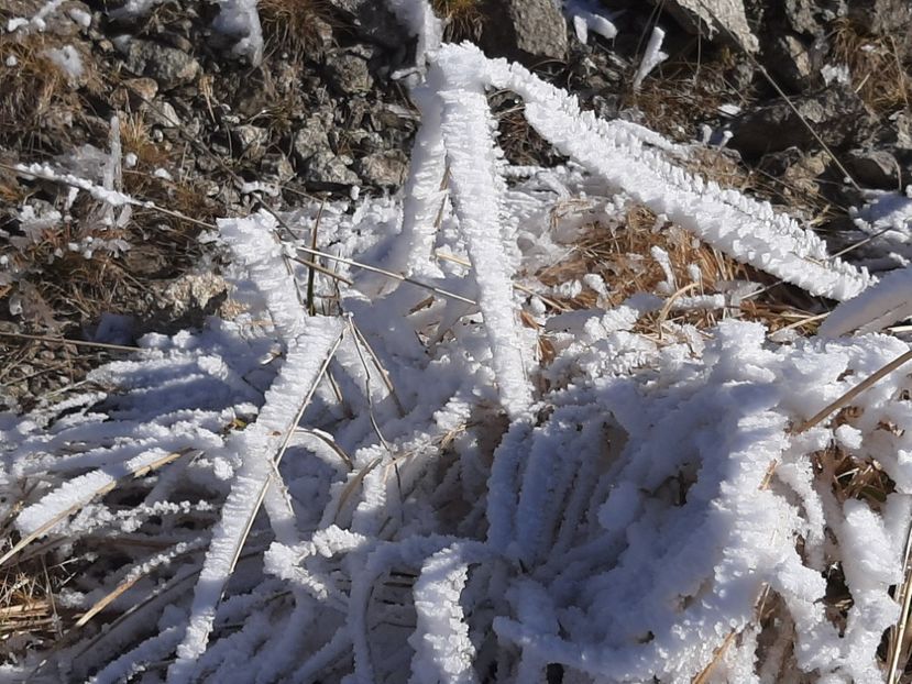  - Rânca octombrie 2020