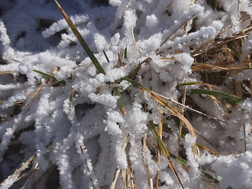  - Rânca octombrie 2020