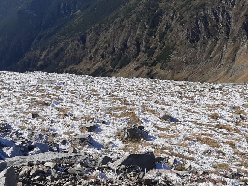  - Rânca octombrie 2020