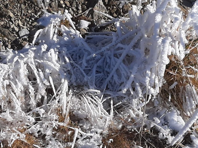  - Rânca octombrie 2020