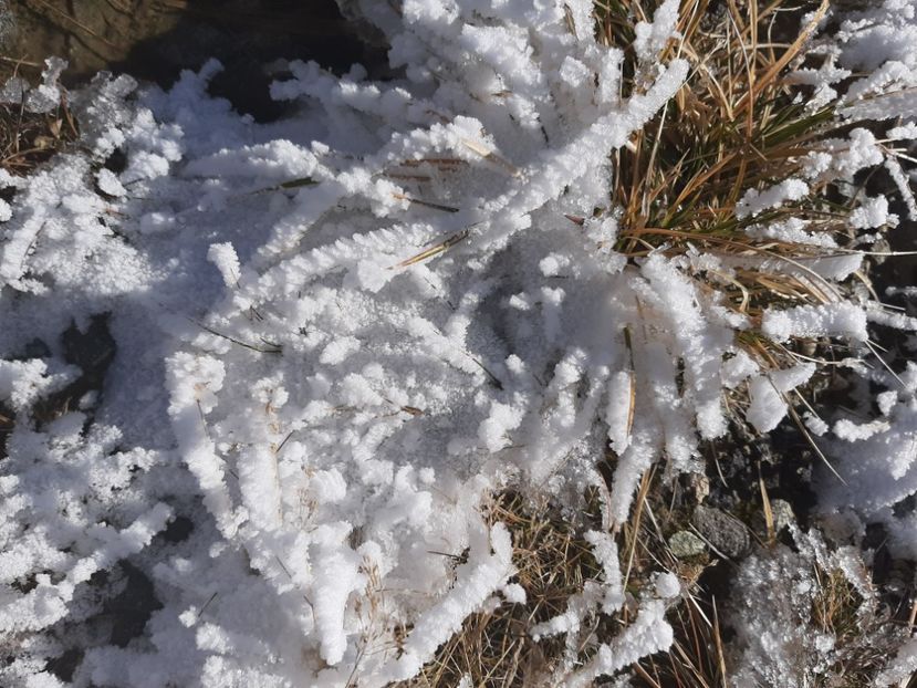  - Rânca octombrie 2020