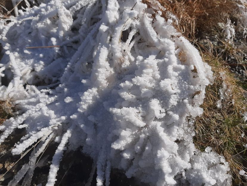  - Rânca octombrie 2020