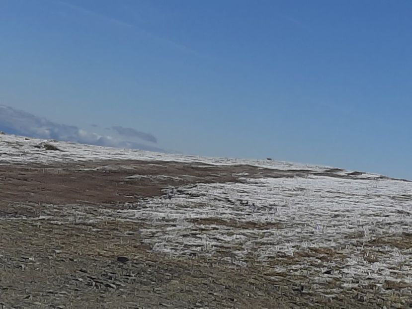  - Rânca octombrie 2020