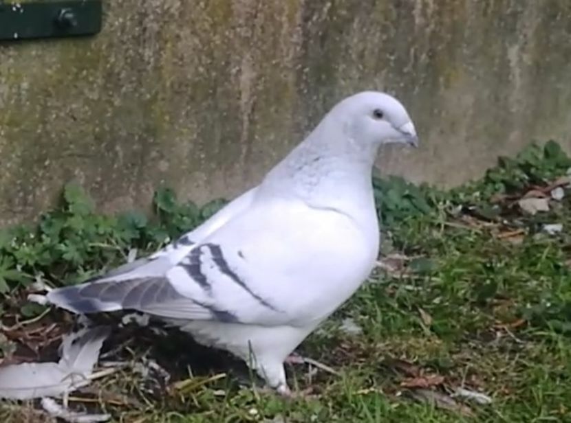 PL20-JRS 2 (F.) Archiwum - g- MLODE-2020 - Youth