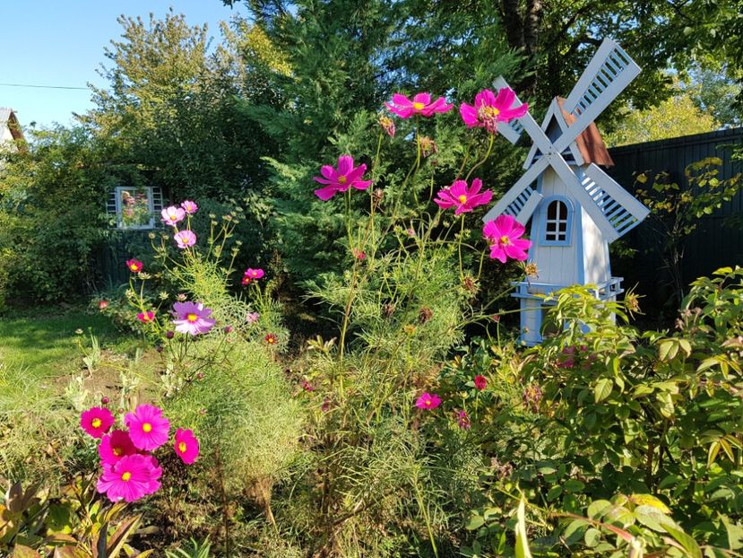  - 2020 Octombrie-Noiembrie