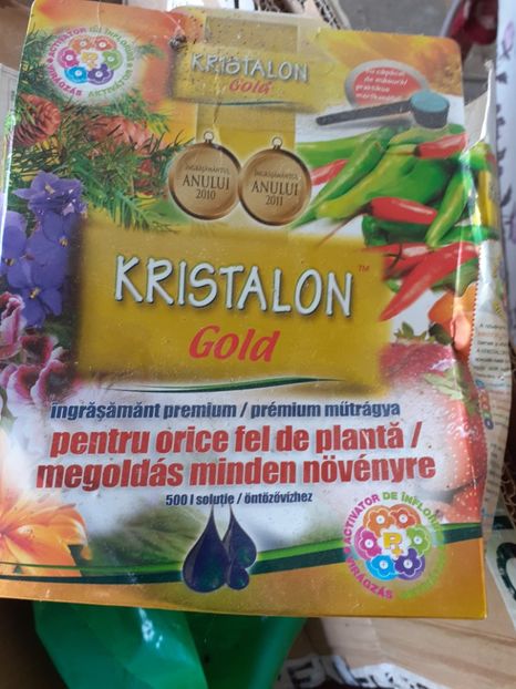  - Gradina 2020-2021