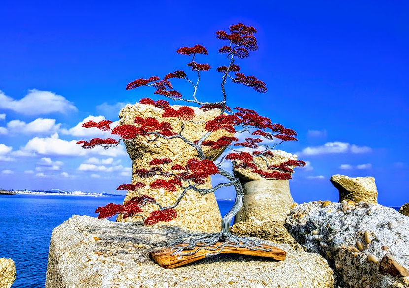  - POMISORI Feng shui - de vanzare