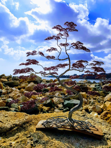  - POMISORI Feng shui - de vanzare