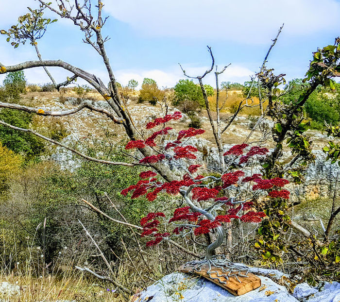  - POMISORI Feng shui - de vanzare