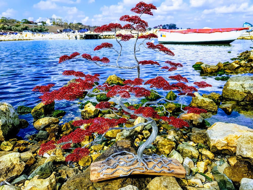  - POMISORI Feng shui - de vanzare