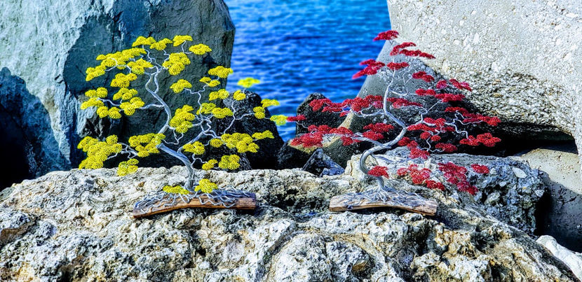  - POMISORI Feng shui - de vanzare