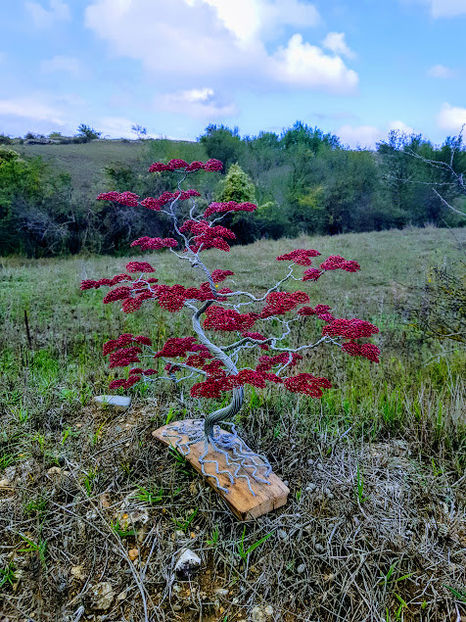  - POMISORI Feng shui - de vanzare