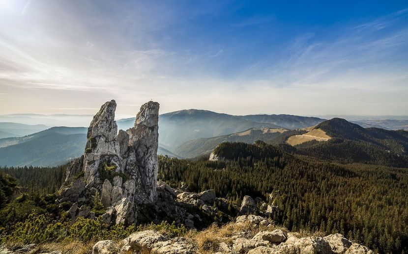 tene08.09.2020_001 (229) - POZE DESKTOP 2021