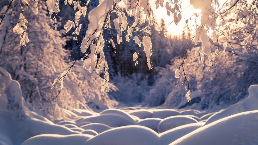 tene08.09.2020_001 (1046) - POZE DESKTOP 2021