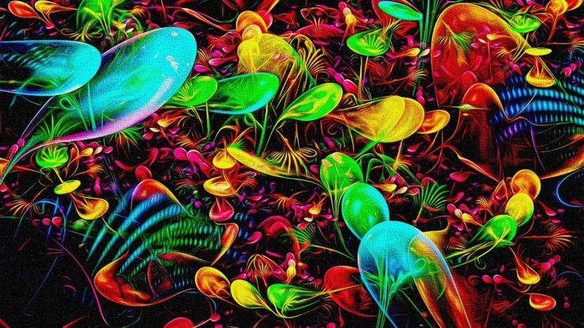 tene08.09.2020_001 (1060) - POZE DESKTOP 2021