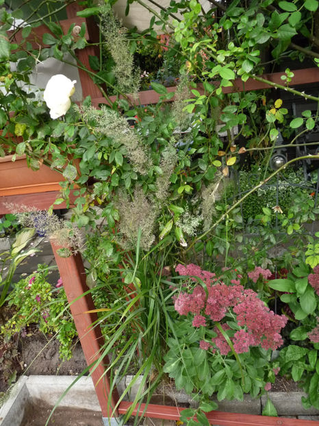  - 2020 - 03 - Toamna