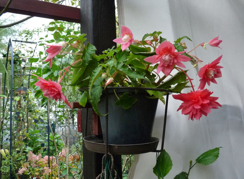  - 2020 - 03 - Toamna