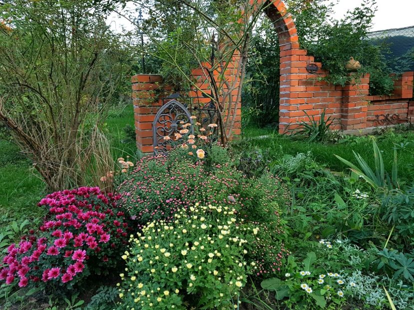  - 2020 Octombrie-Noiembrie