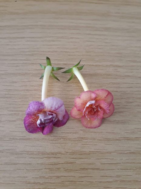 ...nuante diferite!... - 0001 2022 - Amelia Vitorino