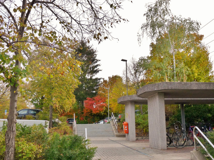  - 2020 - 03 - Toamna