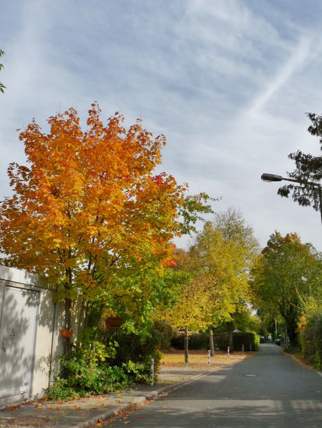  - 2020 - 03 - Toamna