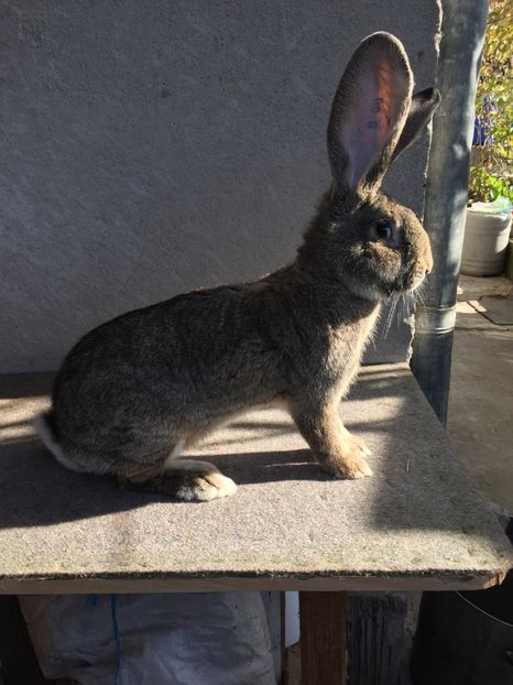 F8E36E19-16E7-42ED-88CD-1FAD5FBE1556 - RO 8-3060