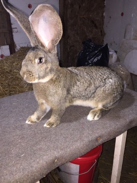 D17707A2-877F-4631-9B02-A68040199B43 - RO 8-3036