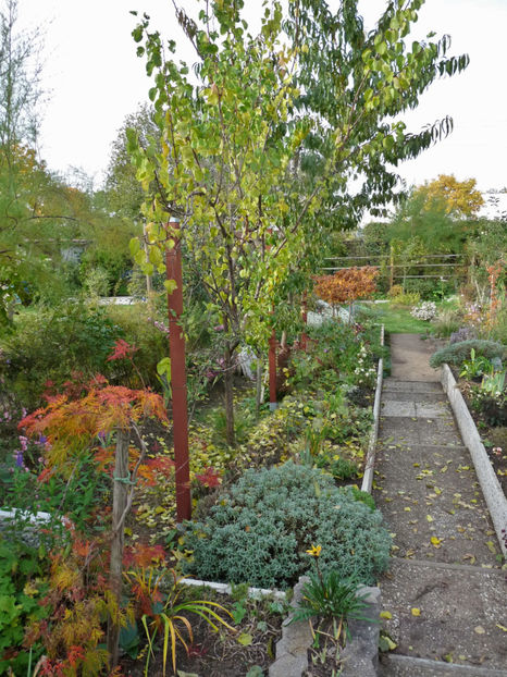  - 2020 - 03 - Toamna