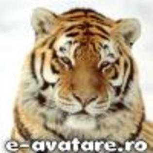 avatare_gratuite_ac9defd90d962aca606c055114f90ec3[1]