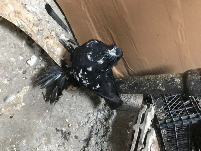 E0FB851B-5B26-442C-A929-6F8FCFA110F7 - 2020 0