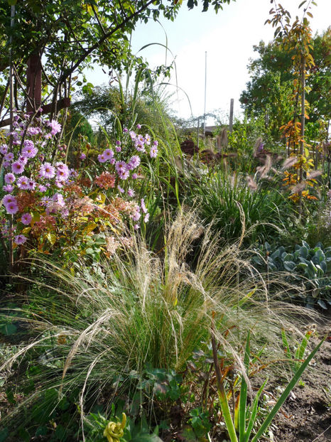  - 2020 - 03 - Toamna