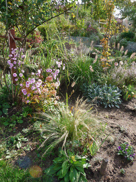  - 2020 - 03 - Toamna