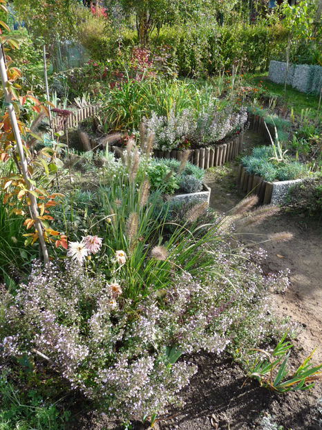  - 2020 - 03 - Toamna