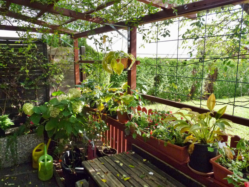  - 2020 - 03 - Toamna